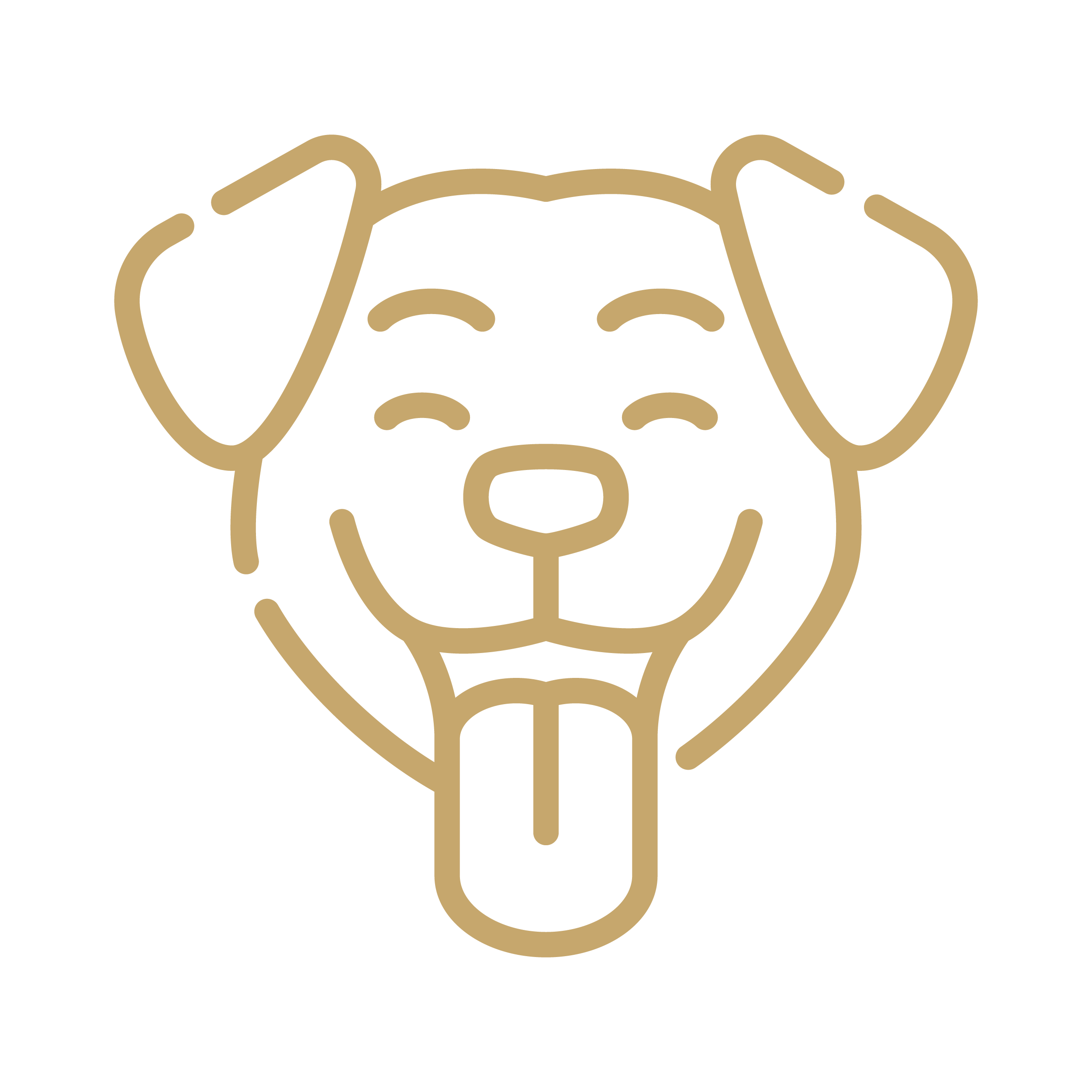 PET <br>FRIENDLY